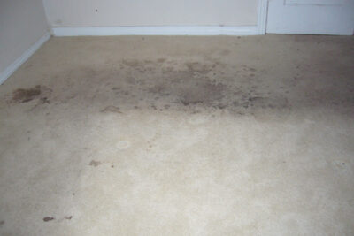 carpet cleaning San Antonio